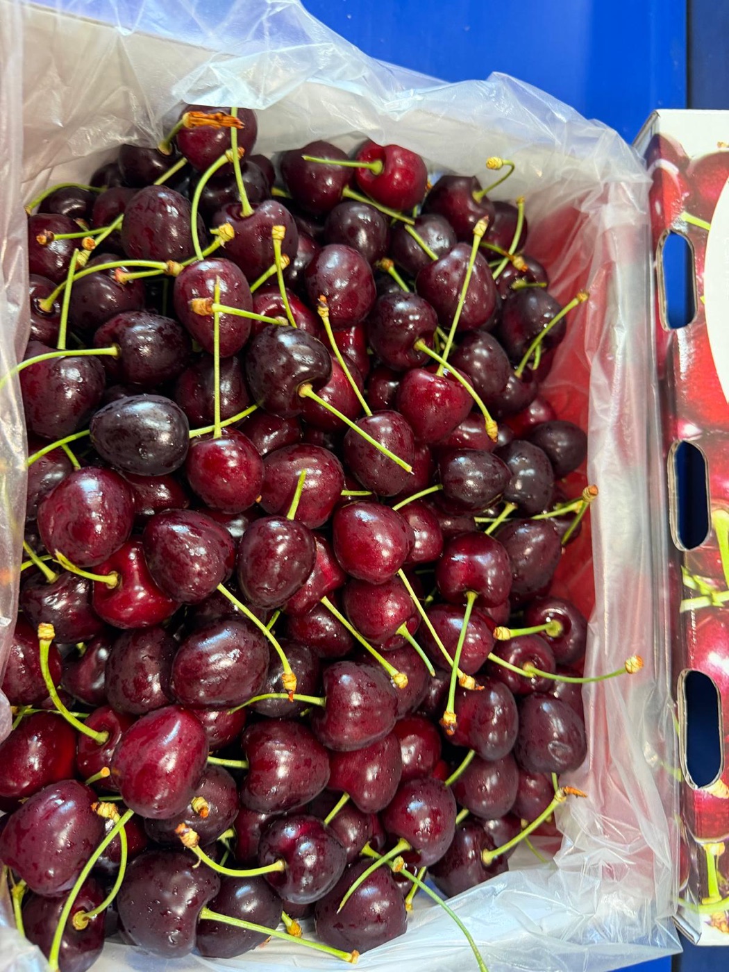 Agrispa Cherry Lady box full of premium Bulgarian cherries