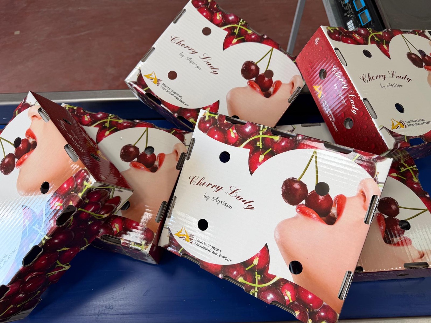 Agrispa cherry export boxes ready for shipping