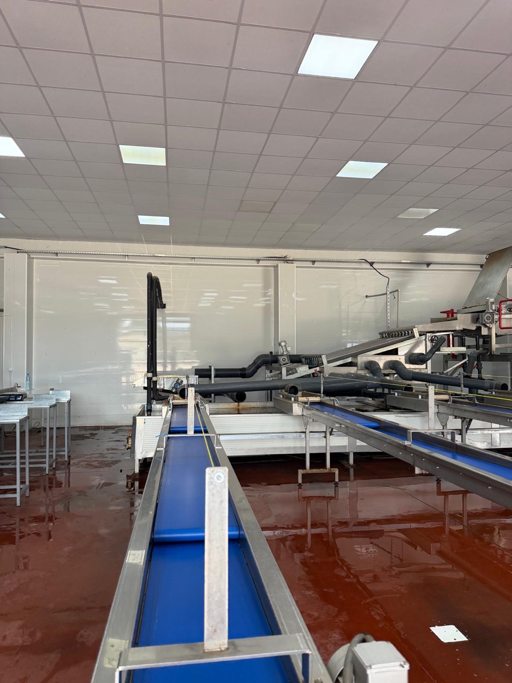 Agrispa modern fruit sorting facility