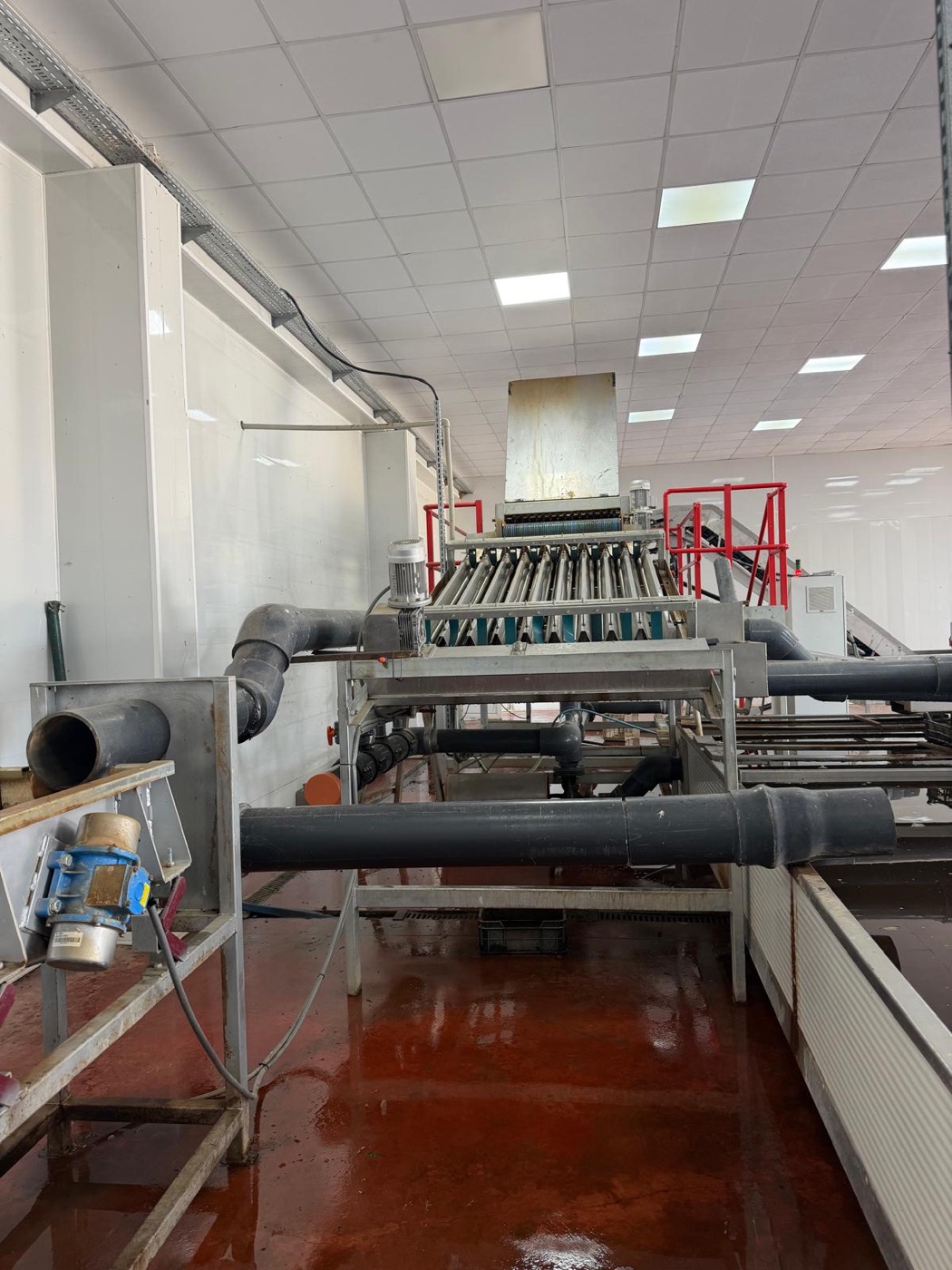Cherry calibration and grading line at Agrispa