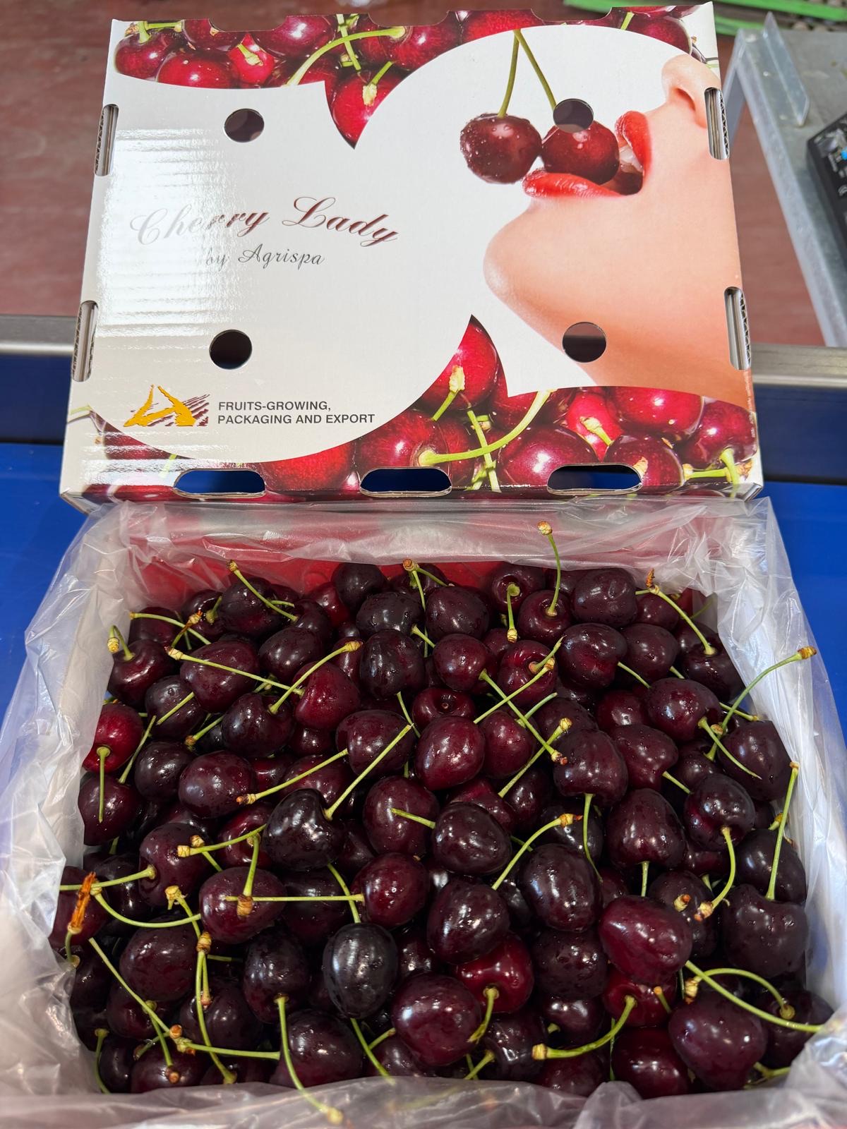 Premium Bulgarian cherries in Agrispa Cherry Lady export boxes, Stara Zagora
